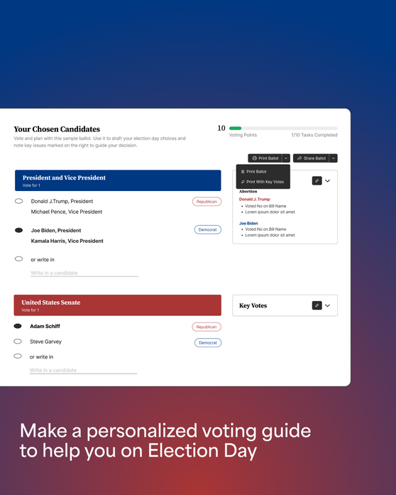 Voting Guide