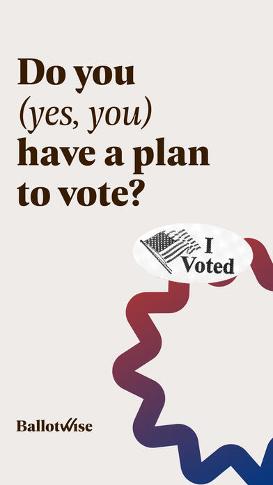 Voting Plan Graphic
